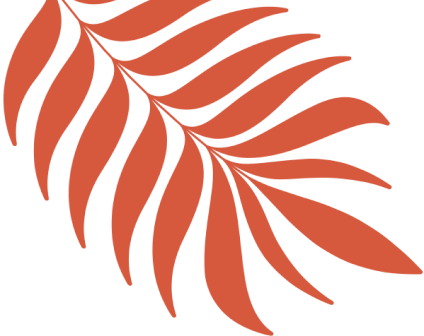 vector
