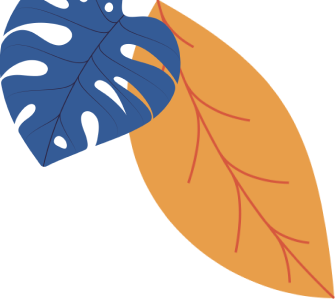 vector