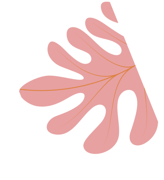 vector