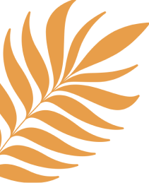 vector